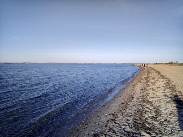 IMG-20220326-172307-3.jpg