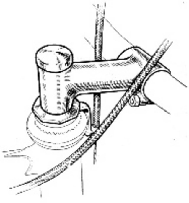 stem.th.jpg