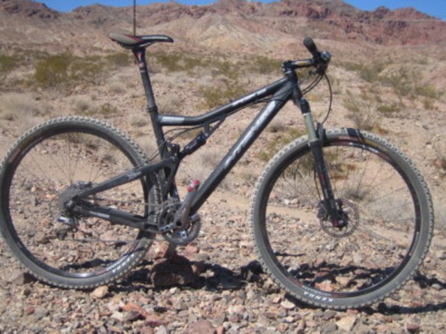 2007_intense_spider_29.sized.jpg