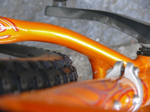 528587439_de1f6721f6_b.jpg