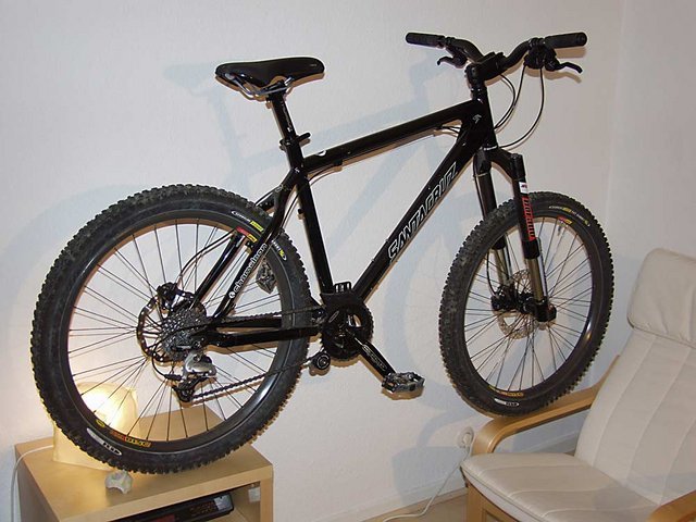 Chami-002.jpg