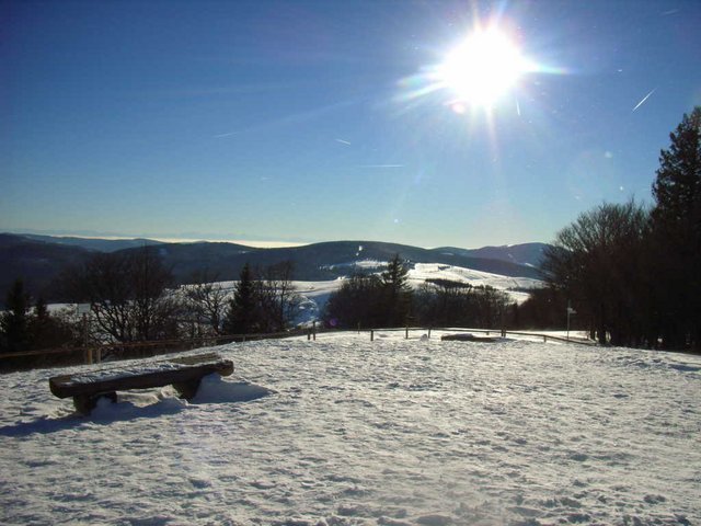 RIMG0167.JPG