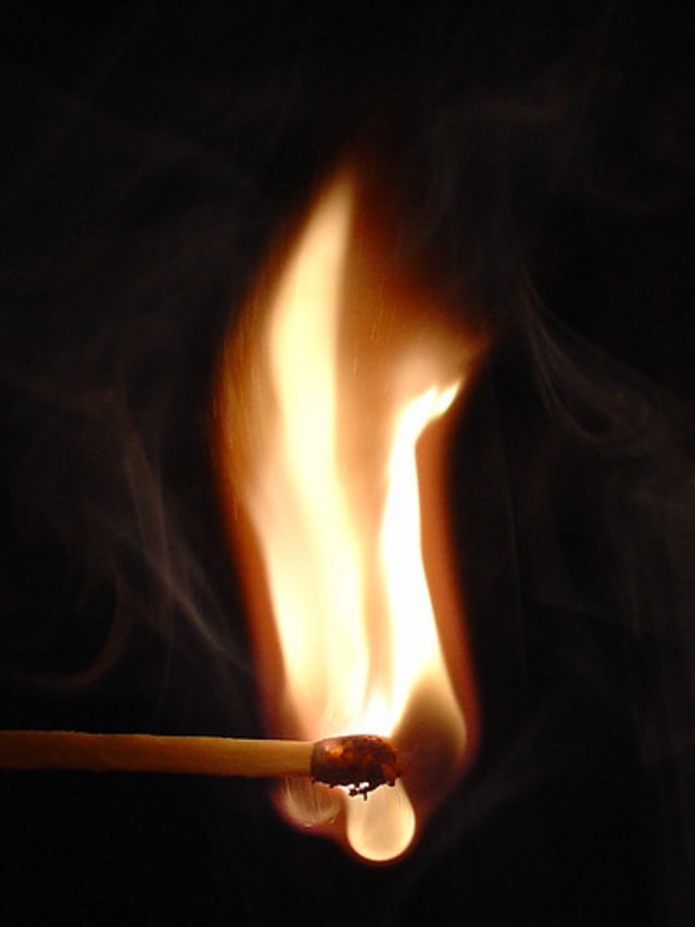 260694045_9d6afbaef8.jpg