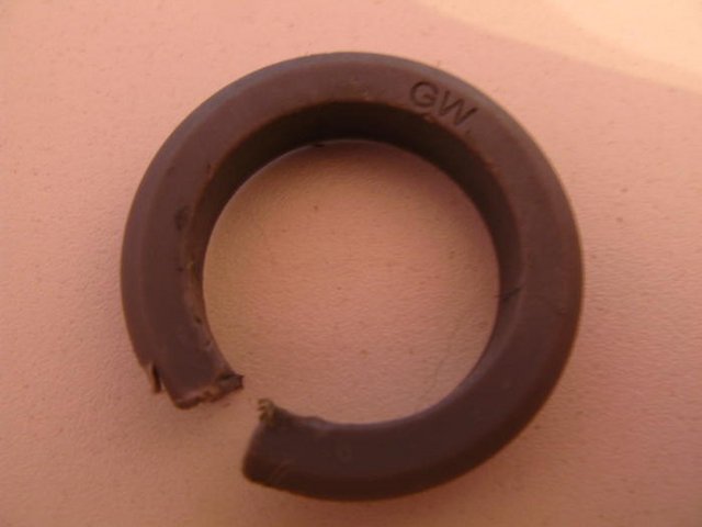4815666.jpg