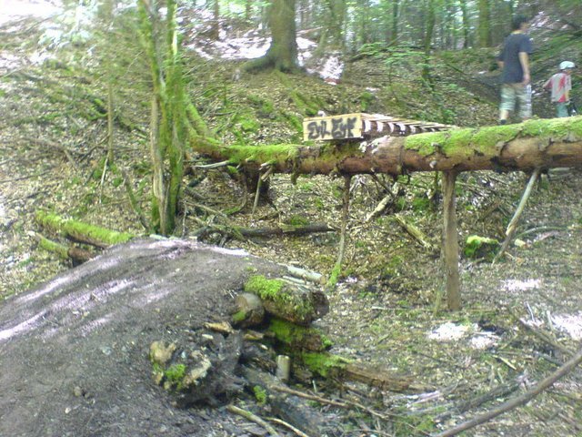 DSC004183.JPG
