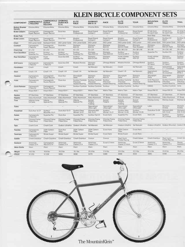Klein1986_2.jpg