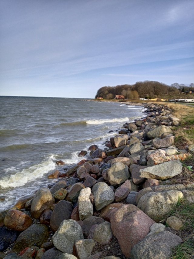 IMG-20220331-172414-0.jpg