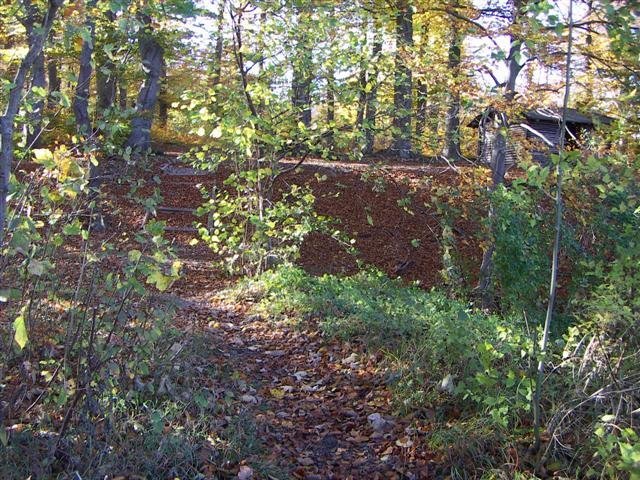 PICT0375_Small_.JPG