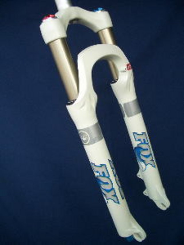 F100X_1.jpg