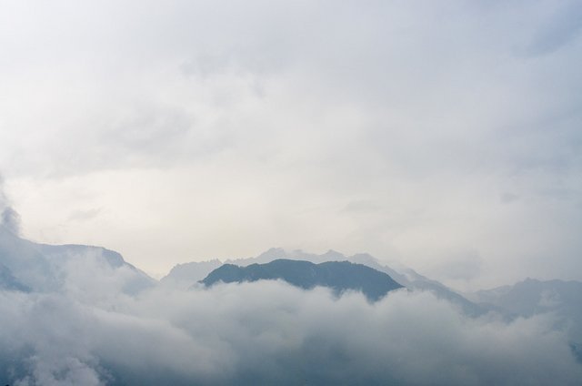 7003310766_327426c60d_b.jpg
