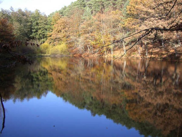 Cimg0280.jpg