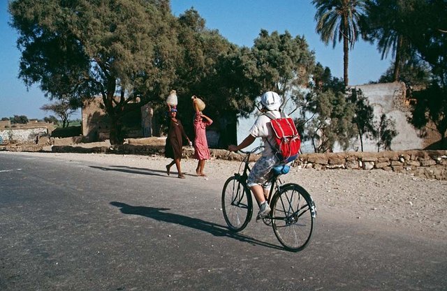 bike-jpg.905833