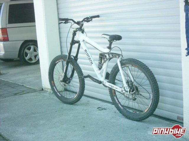 pbpic495011.jpg