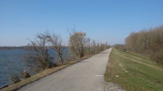 25001154xy.jpg