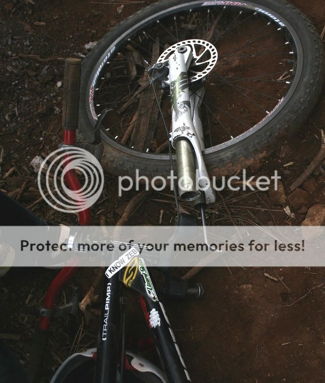 rst.jpg
