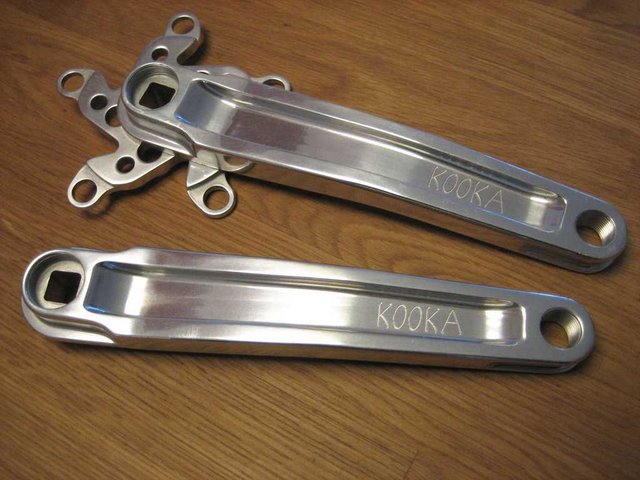 kooka_1.jpg