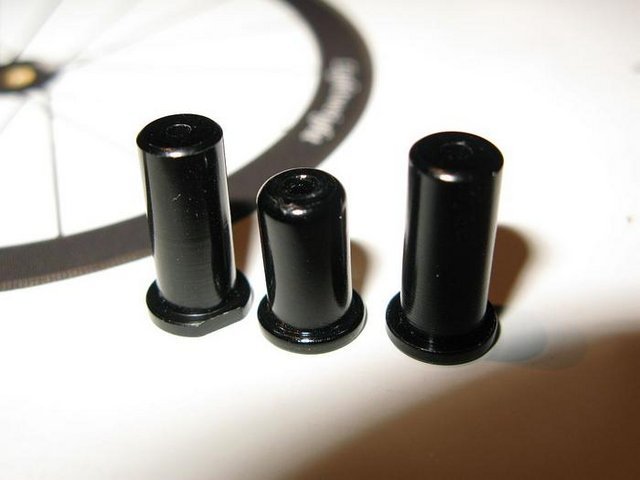 3081333.jpg