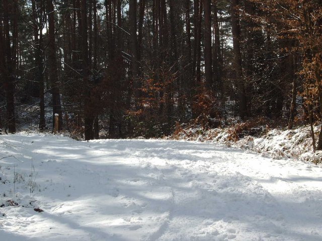 Weg_nach_Lohmar.JPG