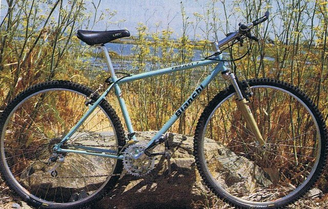 bianchiproject7.jpg
