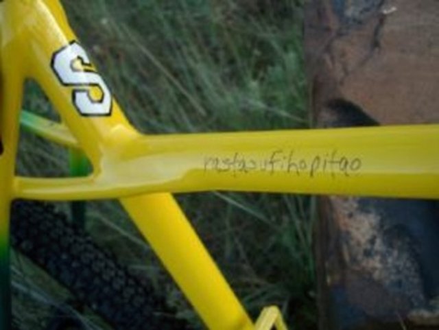 Serotta1.jpg
