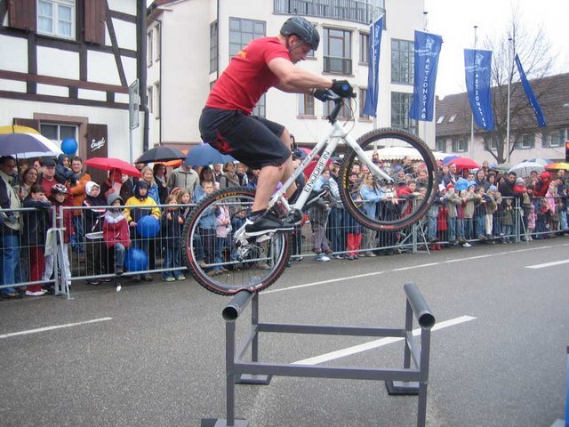 h11.JPG