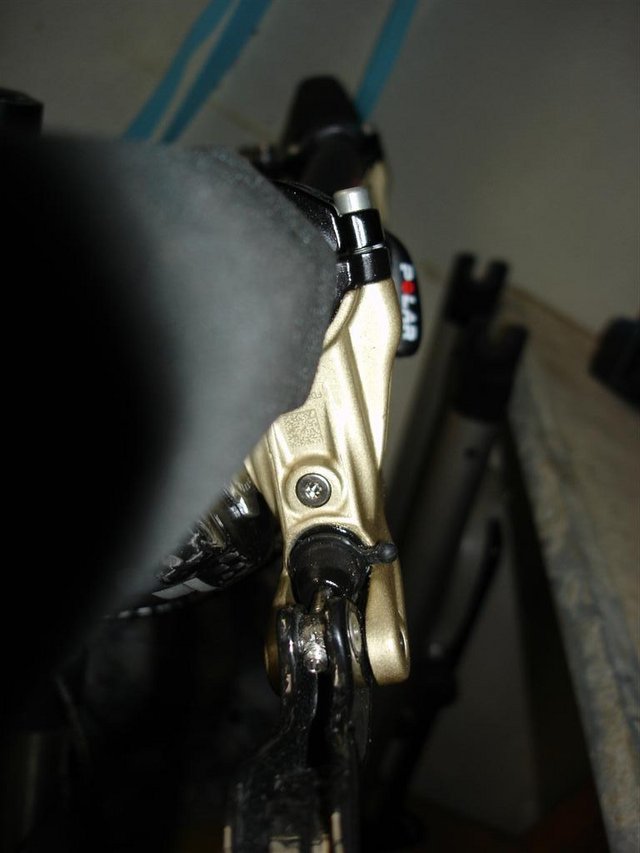 DSC00012_Large_.JPG