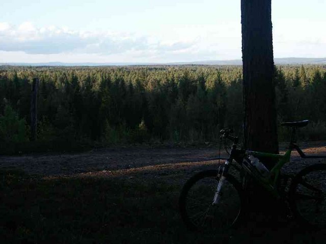12panorama1.jpg