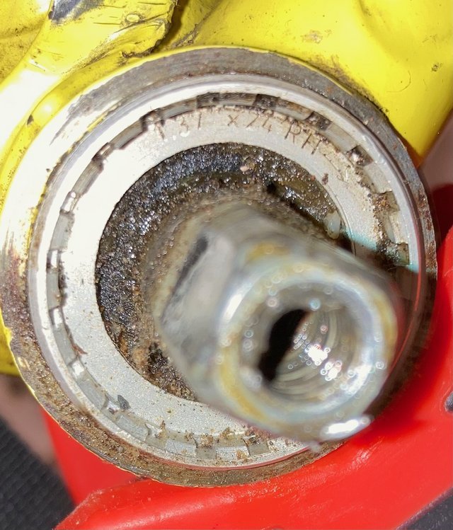 1761769316175-jpeg.1697313