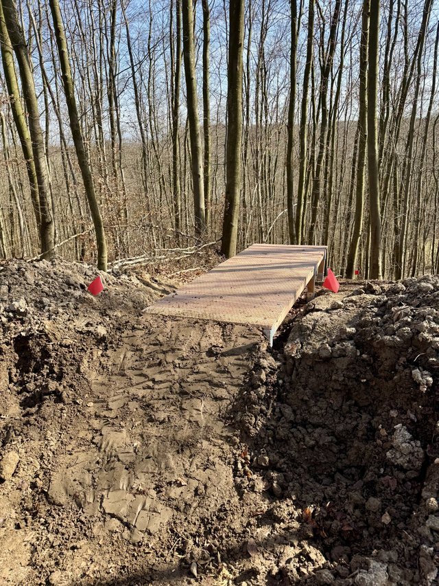 img_8511-jpeg.2111765