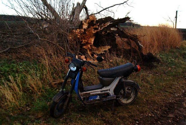 Bild_0157.jpg