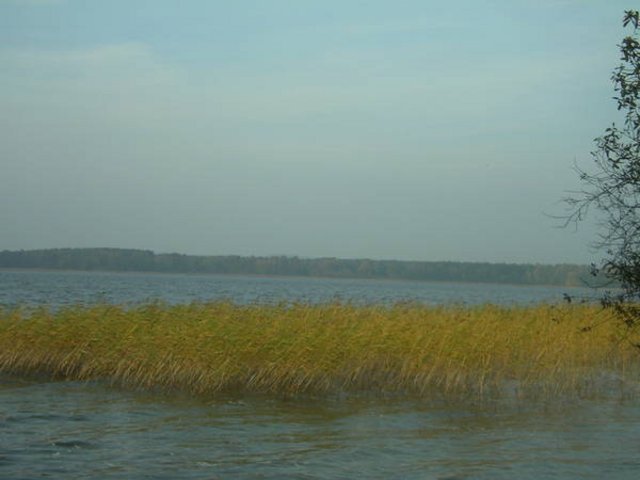 IMGP1408.JPG