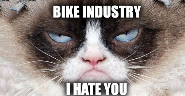 grumpy_cat_bike_banner.original.jpg