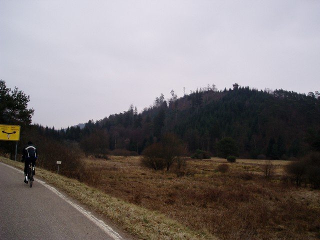 web_P2260016.JPG