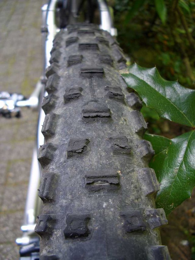 Nobby_Nic_x_003.JPG