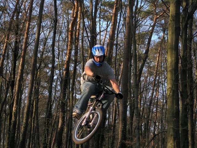 3_nosedive_picasa.jpg
