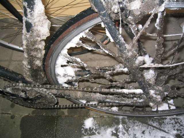 78896386_67e253131a.jpg