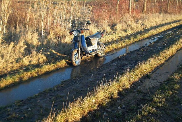 Bild_01311.jpg