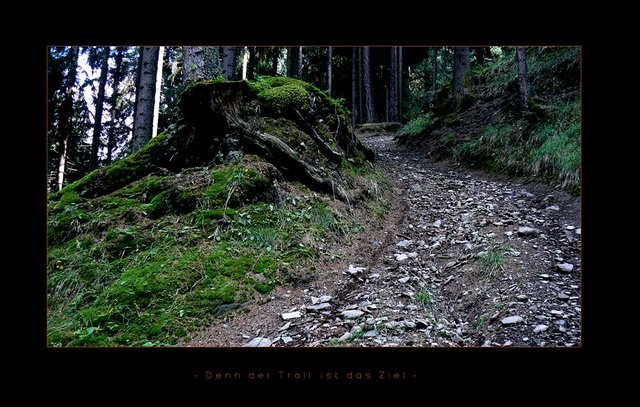 Unbenannt-3.jpg