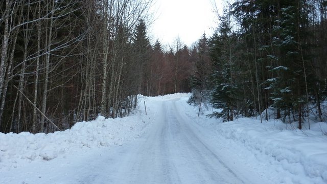 6722396435_a6ece98112_b.jpg