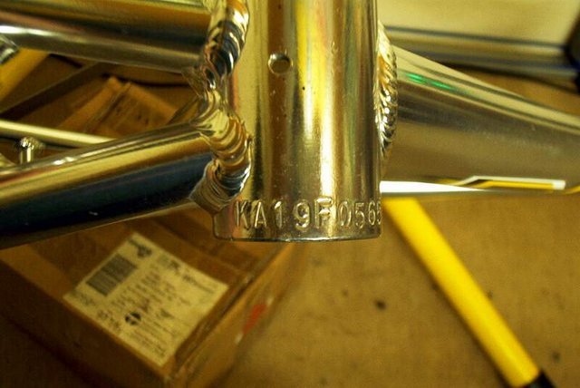 Bild_009.jpg