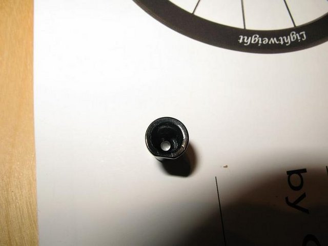 3081336.jpg