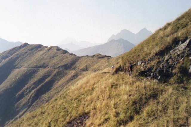 2355Friaul_Crost_3.jpg