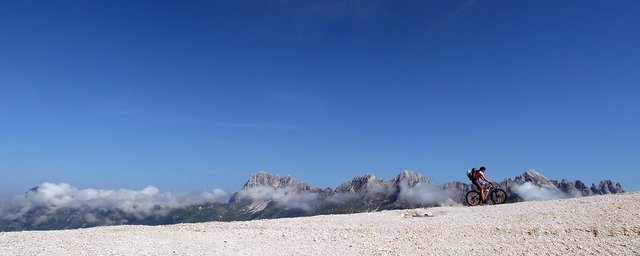 pobic2.jpg