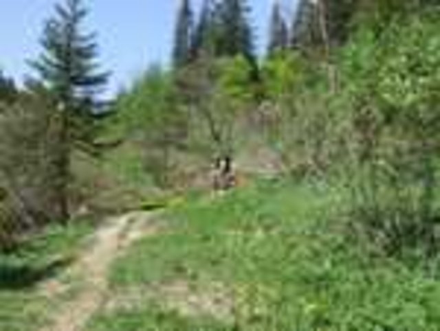 DSCF02881.JPG