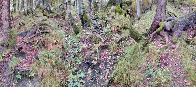 weisse_wand_trail_endurama_de.jpg