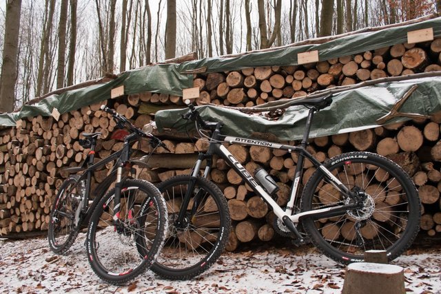MTBnammerwald3.jpg