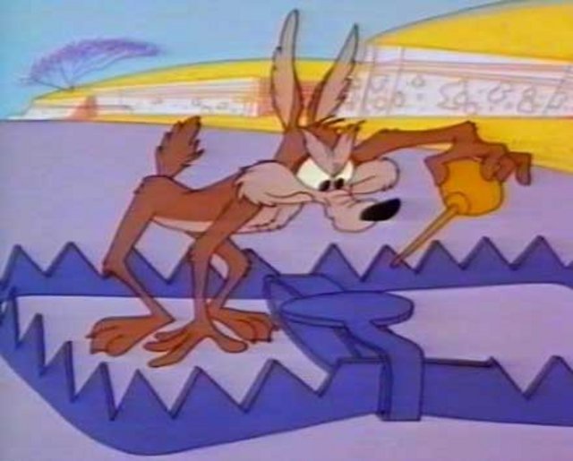 Coyote.jpg