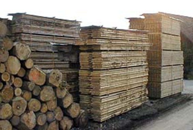 Holz.jpg