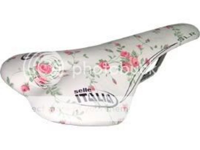 selle_roses.jpg
