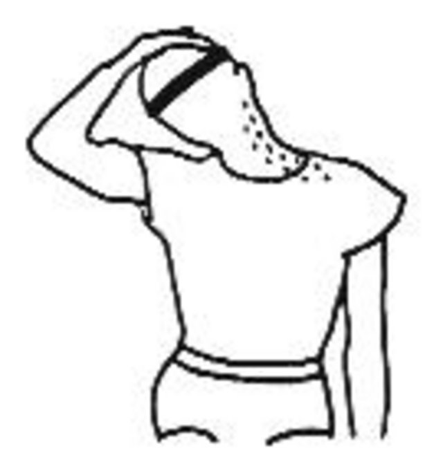 stretch1.jpg